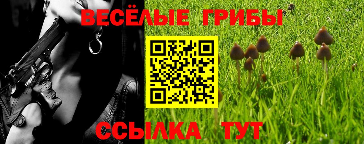 Рославль  Псилоцибиновые грибы мицелий  где можно купить   Вход с VPN 