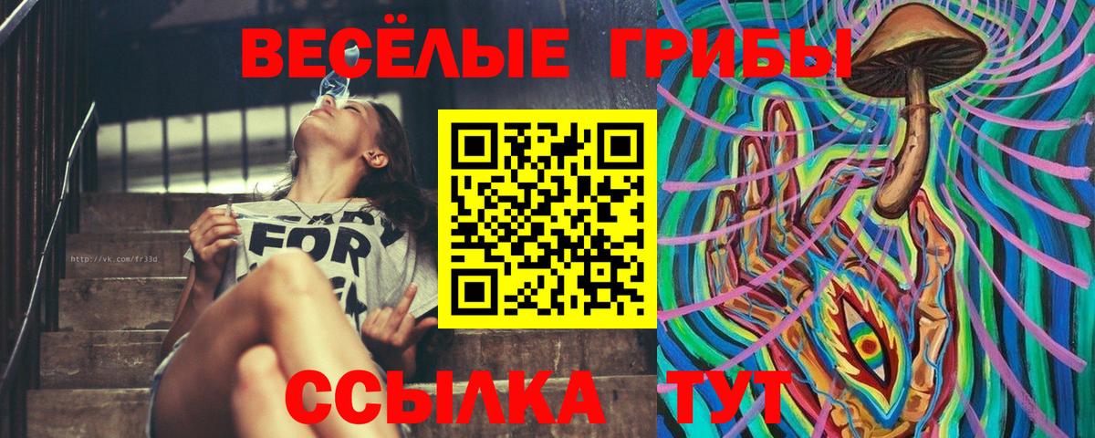 Псилоцибиновые грибы ЛСД Рославль